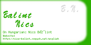 balint nics business card